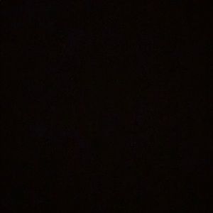 Meet your Posher, Carter